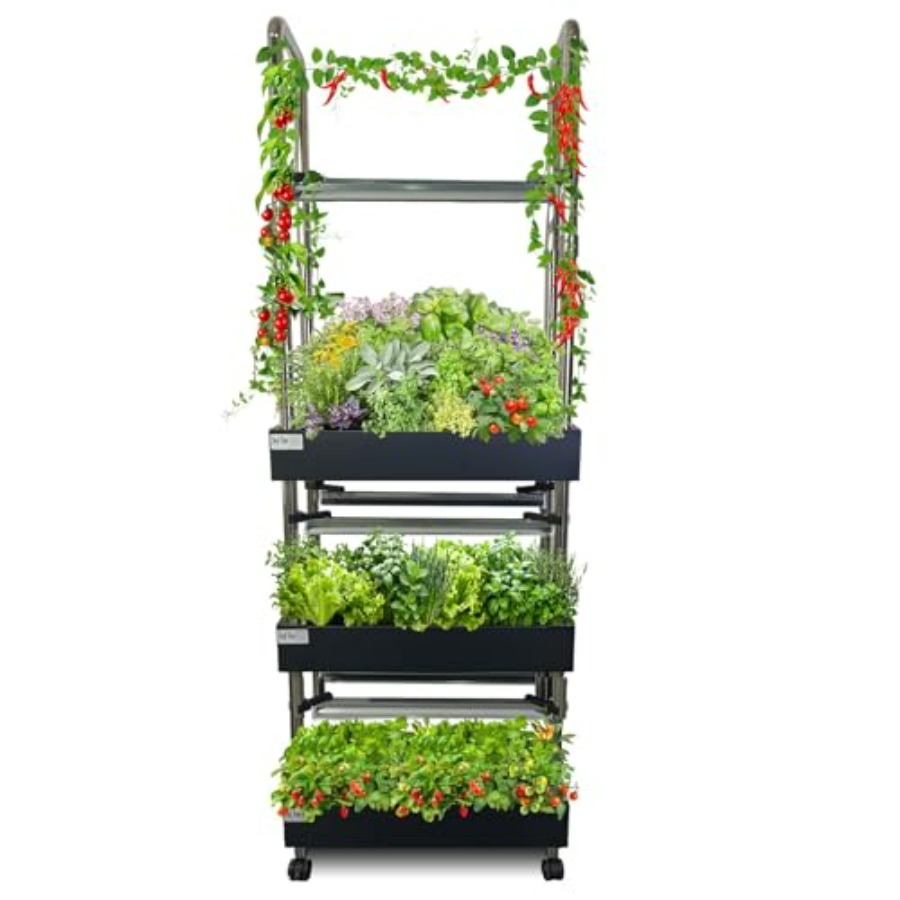 Smart Garden Light - Sistema de cultivo hidropônico interno: jardim