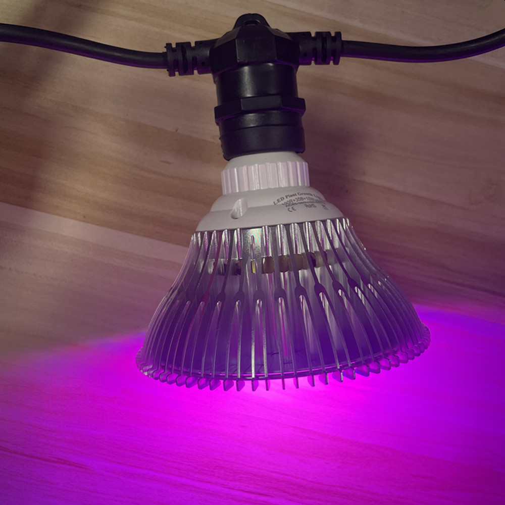 Cabo de LED de 10M à prova d'á - Smart Garden Light avaliação e preço