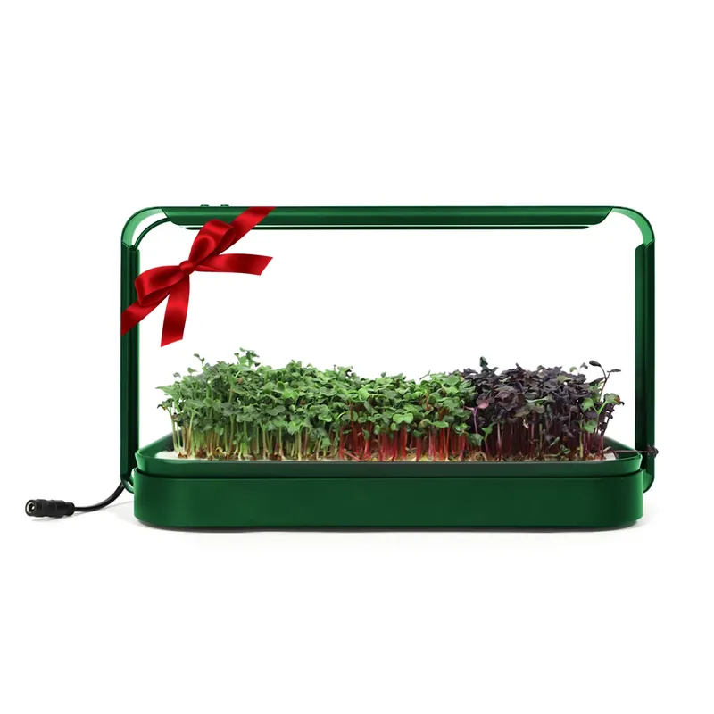 Ideias de Presentes de Natal:  - Smart Garden Ideas avaliação e preço