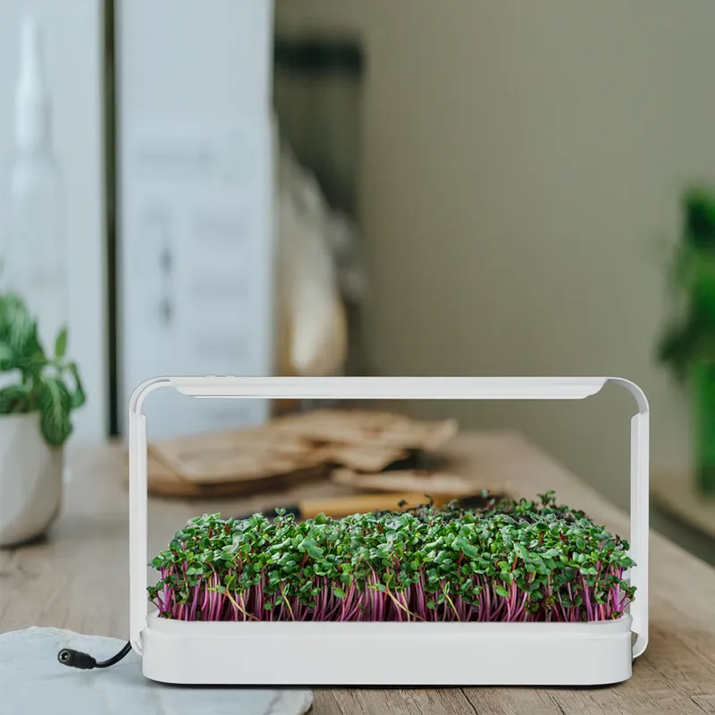 Kit de Cultivo de Ervas Aromát - Smart Garden Ideas avaliação e preço