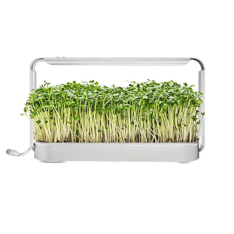 Kit de Cultivo de Ervas Aromát - Smart Garden Ideas avaliação e preço