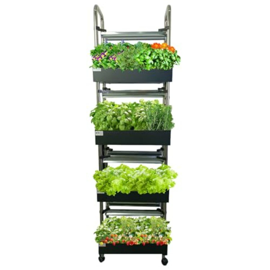 Sistema de cultivo hidropônico - Smart Garden Light avaliação e preço
